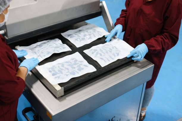 Worker packing seafood at a food processing plant